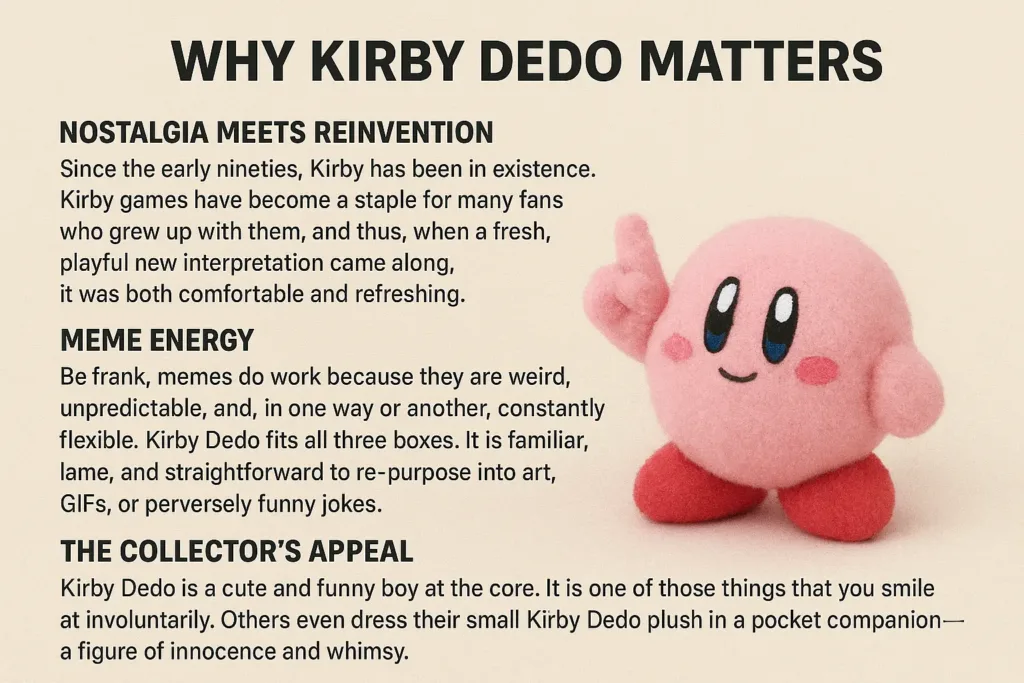 why kirby dedo matters